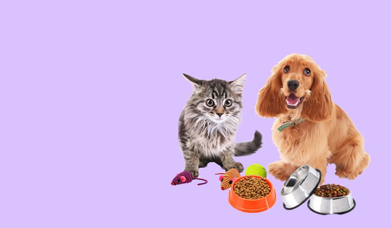 Care & Treats for Your Furry Friends