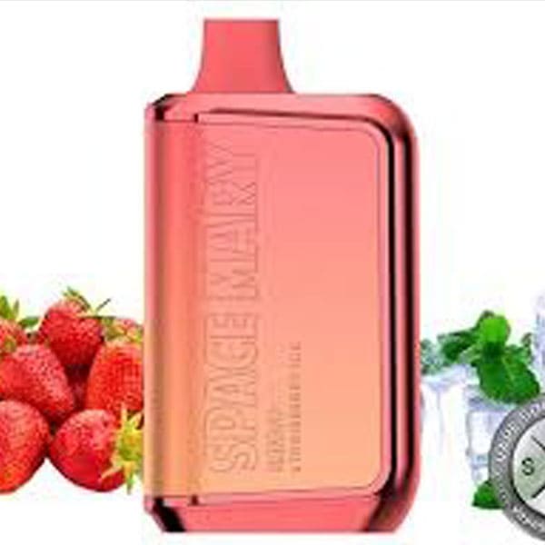 Space mary miami mint